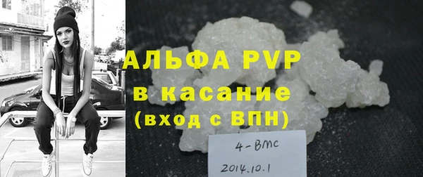 крисы Инта