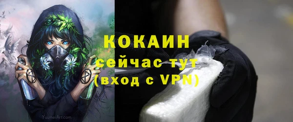 крисы Инта