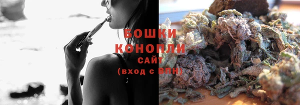 стаф Инсар