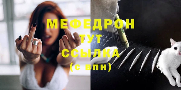 крисы Инта