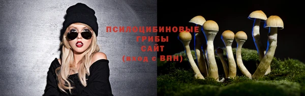 крисы Инта
