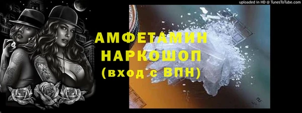 крисы Инта