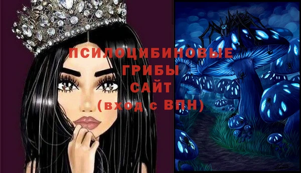 гашик Иннополис
