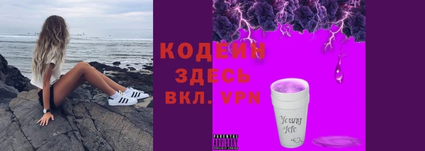 крисы Инта