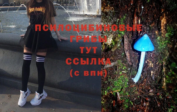 стаф Инсар