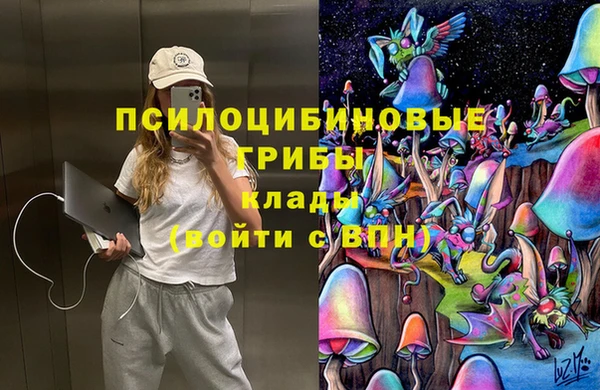 стаф Инсар